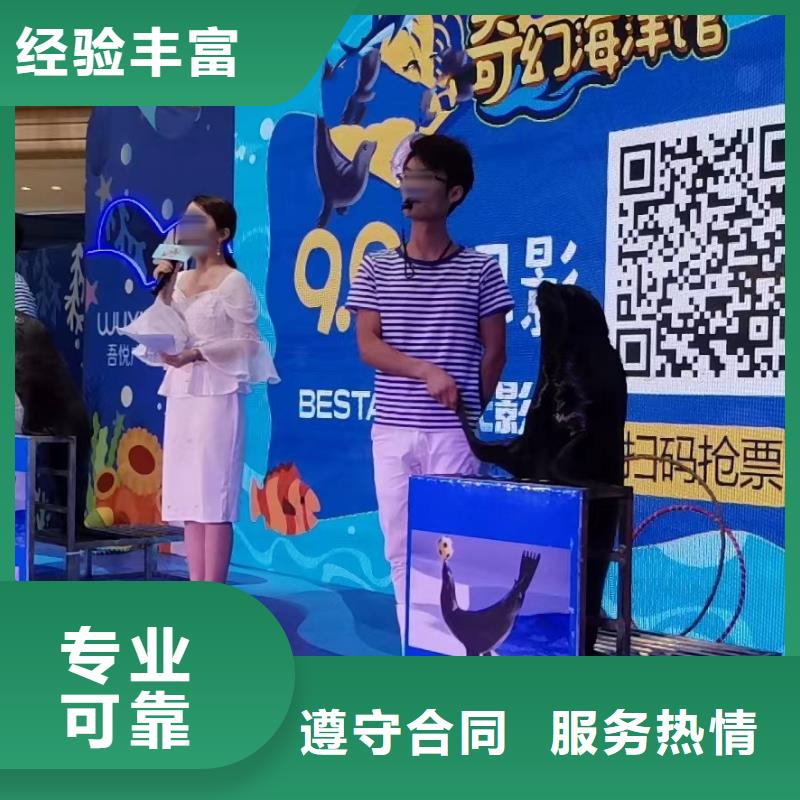 海洋主题动物表演,出租表演萌宠拒绝虚高价正规团队