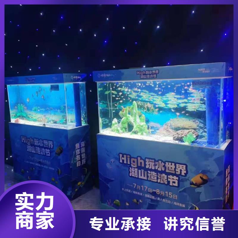 海洋主题动物表演 海狮演出解决方案行业口碑好