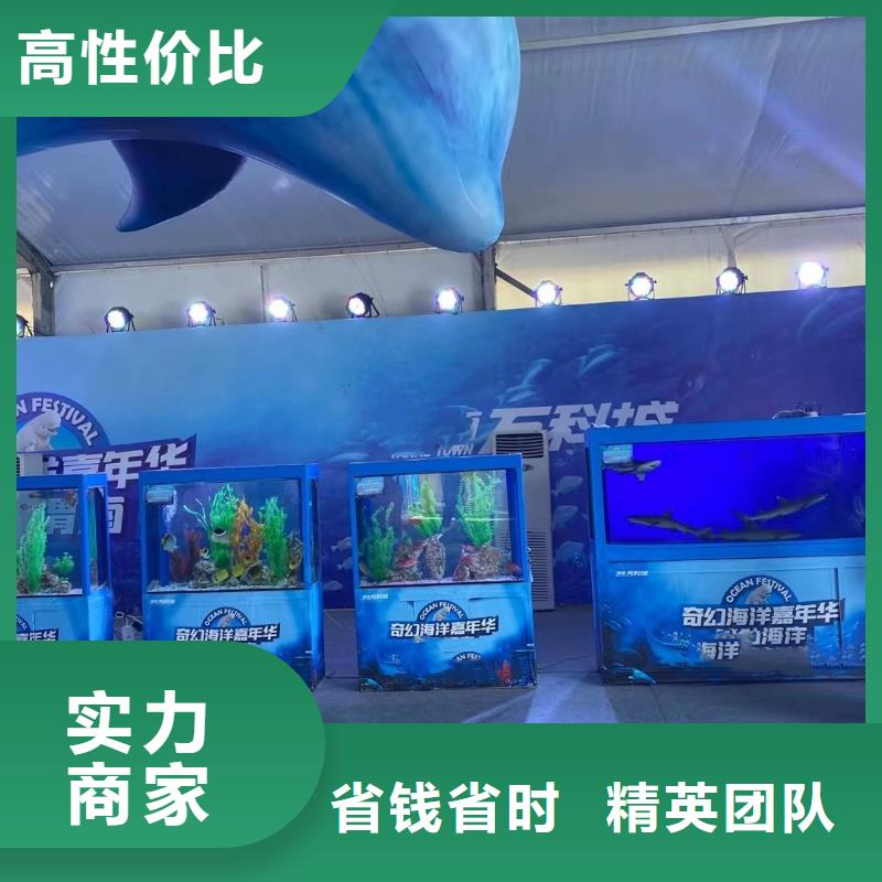 海洋主题动物表演,鹦鹉表演租赁技术精湛质量保证