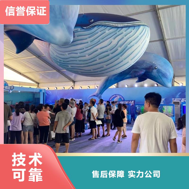 海洋主题动物表演观赏性羊驼租赁专业承接比同行便宜