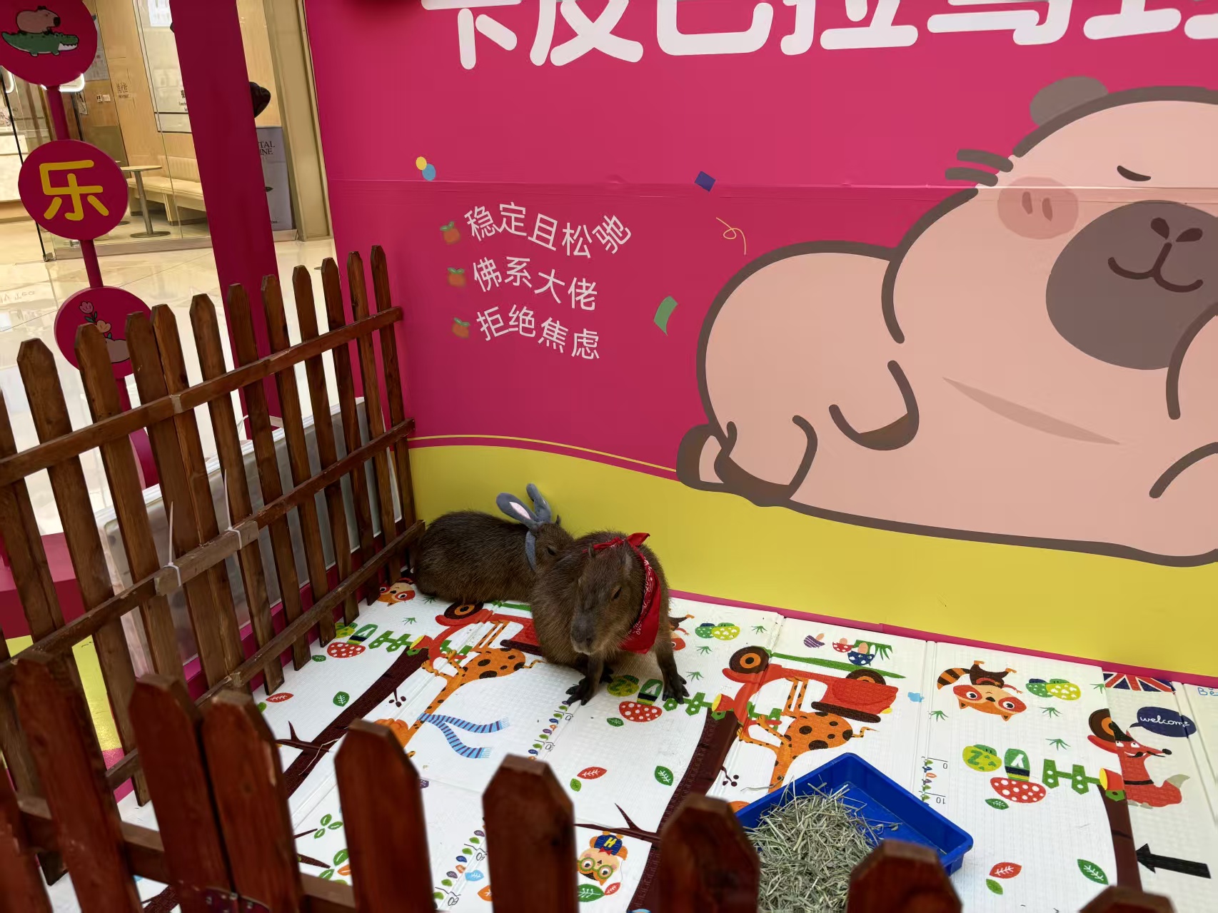 商场暖场新乡原阳【本地】厂家价格优惠