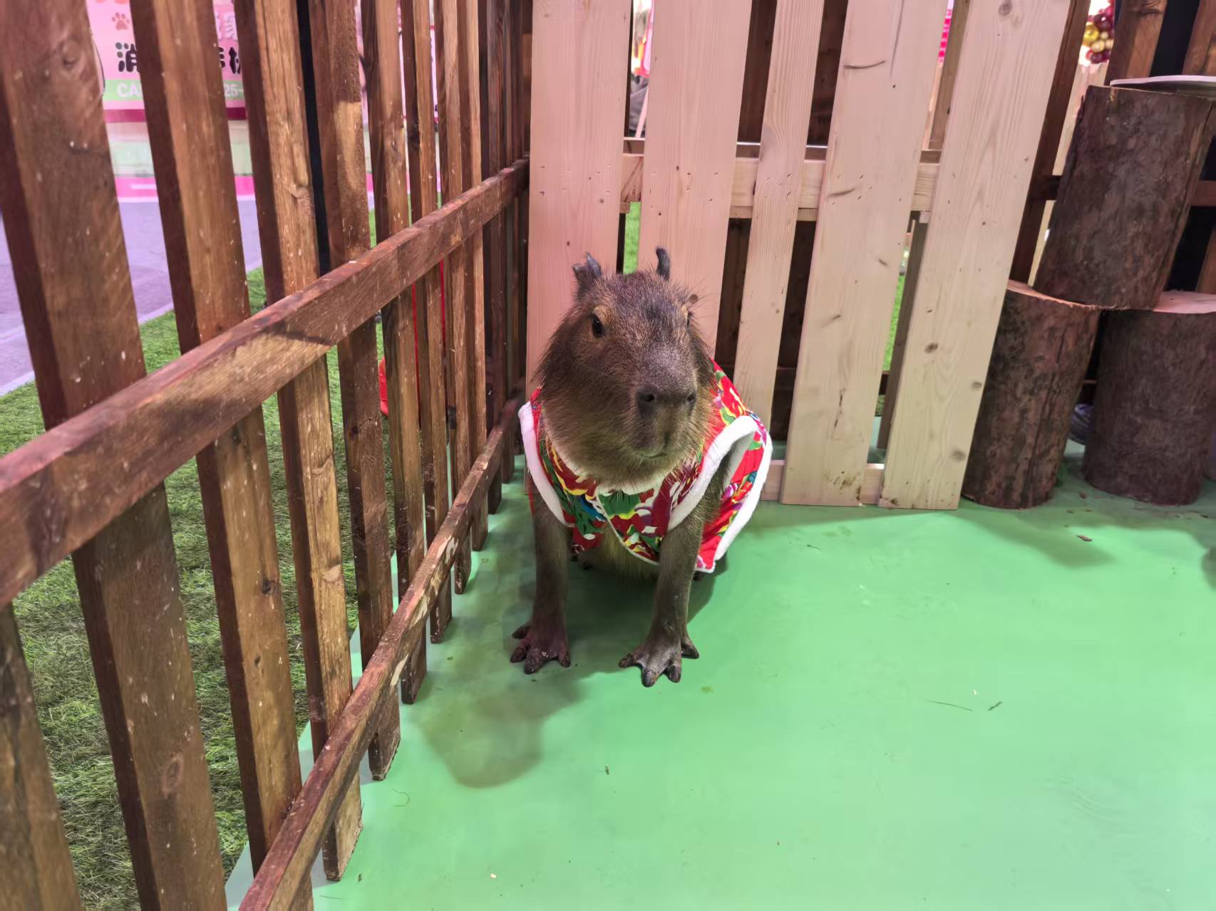 宣城<郎溪>【当地】养殖基地、养殖基地生产厂家-质量保证