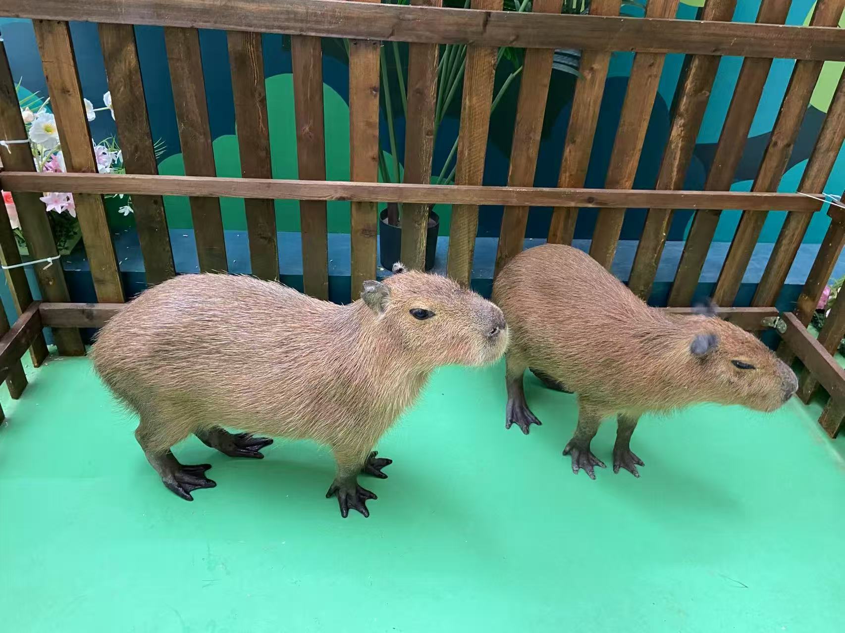 商场暖场新乡【原阳】 本地 厂家价格优惠