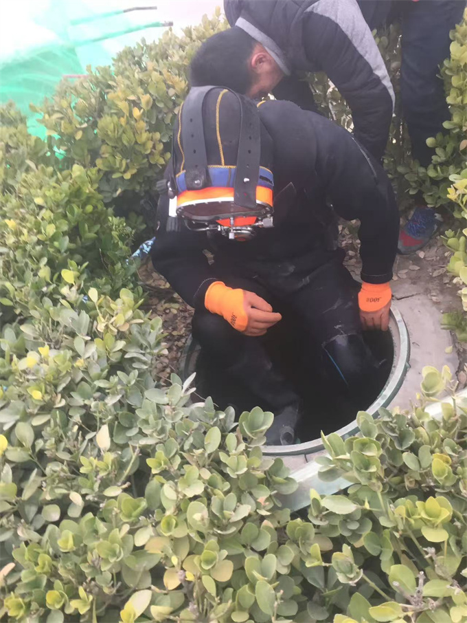 水下管道封堵气囊欢迎来电多家服务案例