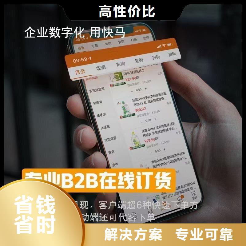 软件【进销存软件APP】团队专业团队