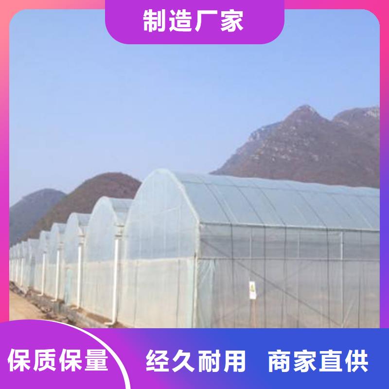 广东省佛山市伦教街道蓝莓杨梅水果大棚发货快同城生产商