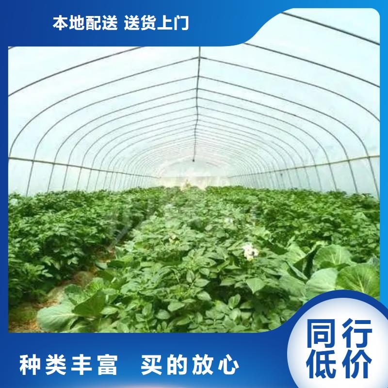 8丝大棚薄膜价格批发价格质检合格出厂