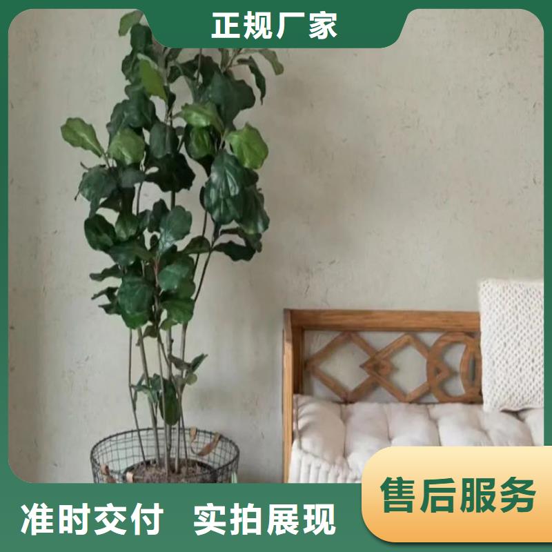 室外稻草漆图片附近品牌