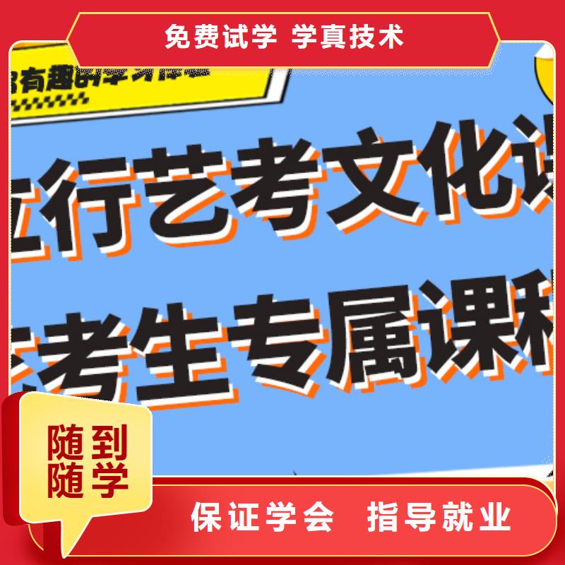 艺考文化课培训价格双文化课教学理论+实操