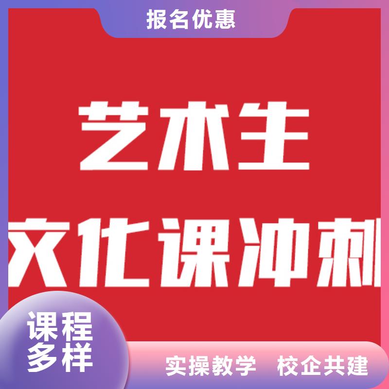 艺考文化课辅导班靠谱吗？老师专业