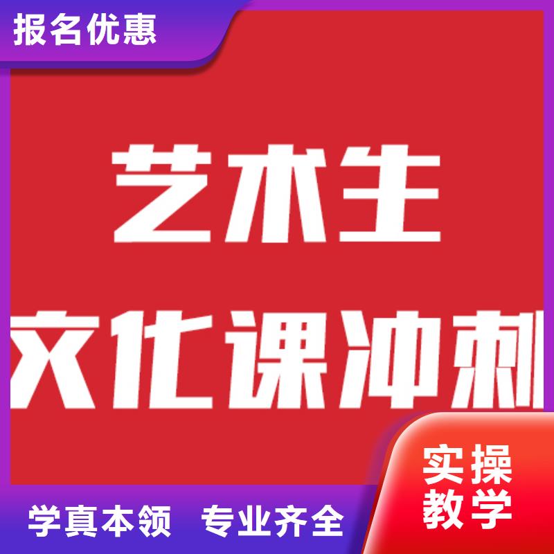 有几家艺术生文化课培训补习要师资好的当地品牌