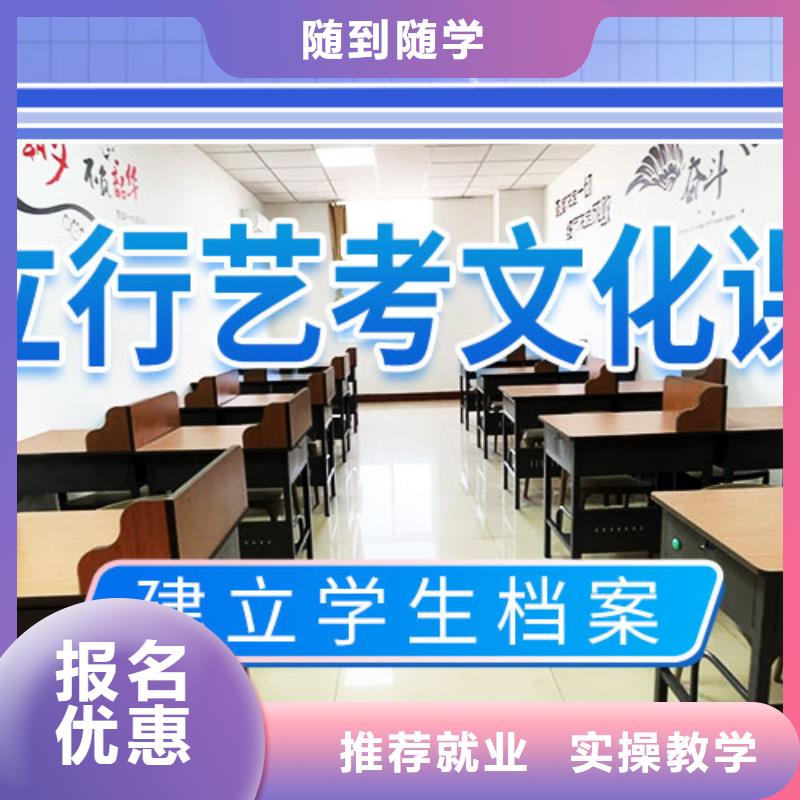 艺术生文化课补习学校排名学真技术