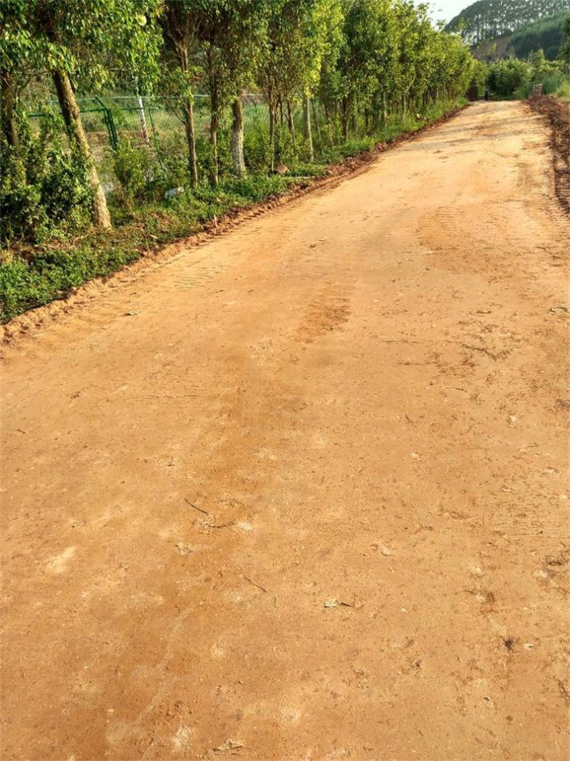 原生泰土壤固化剂本地正规大厂本地货源