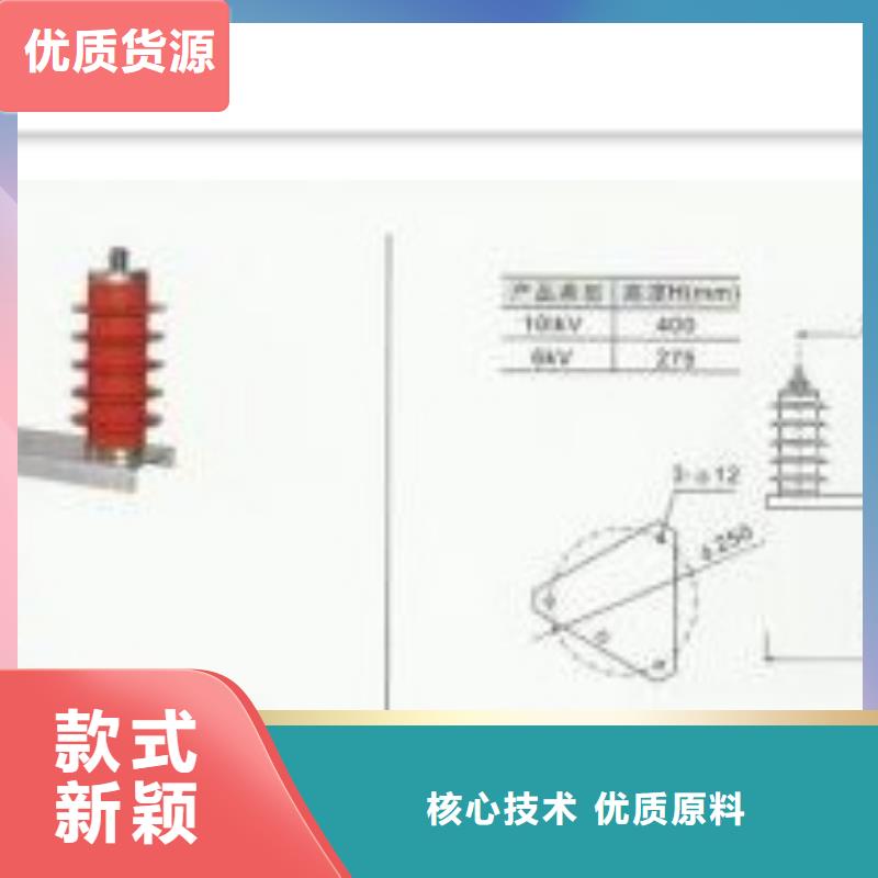 过电压保护器-跌落式熔断器公司准时交付工厂认证