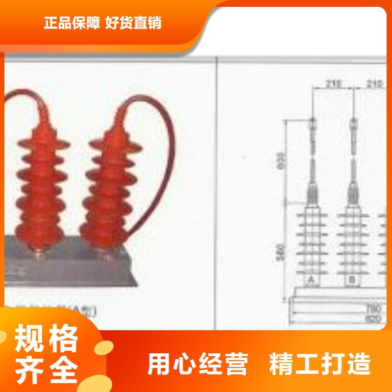 过电压保护器-绝缘子本地厂家值得信赖用心提升细节