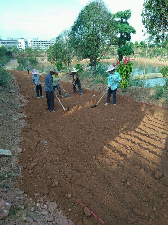 土壤固化道路基础污泥改性剂学校